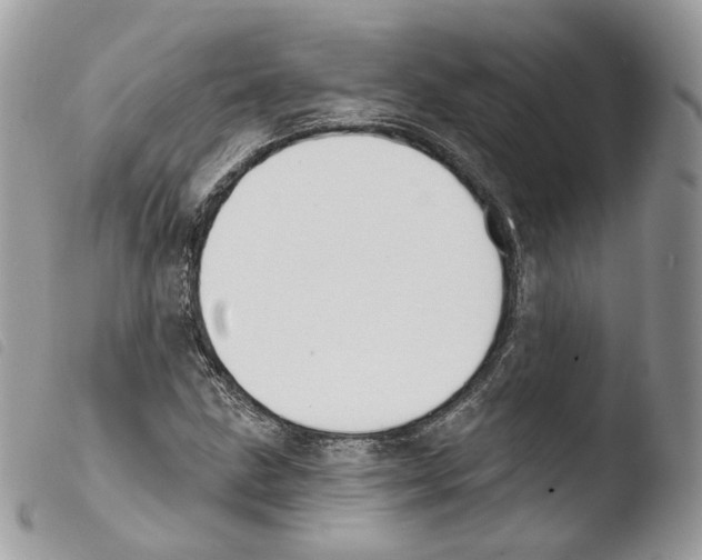 X0000103911211200810171657