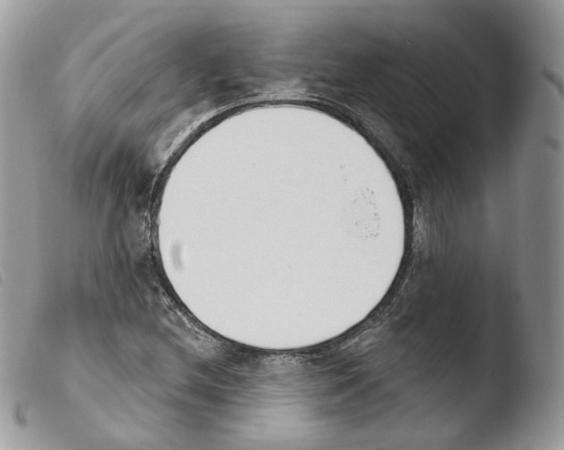 X0000103911212200810171657