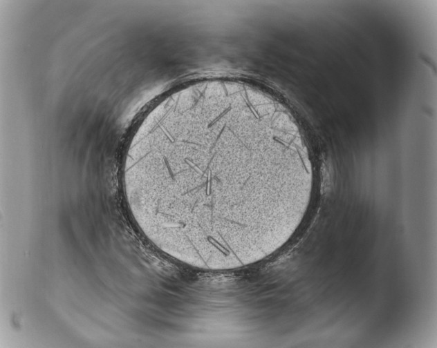 X0000103911213200810171657