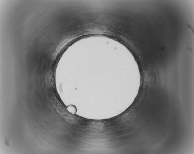 X0000103911215200810171657