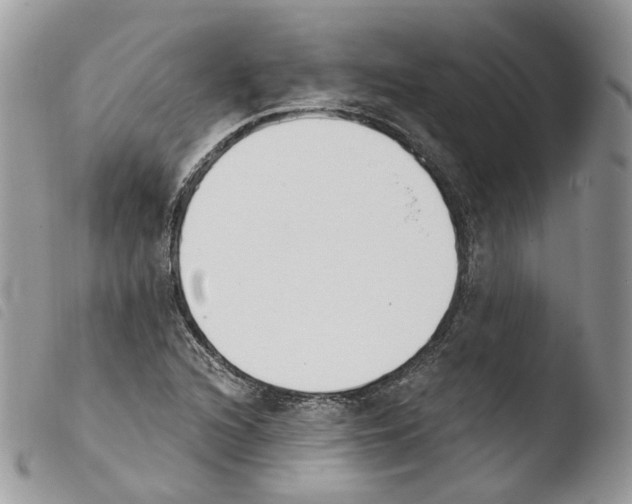 X0000103911216200810171657