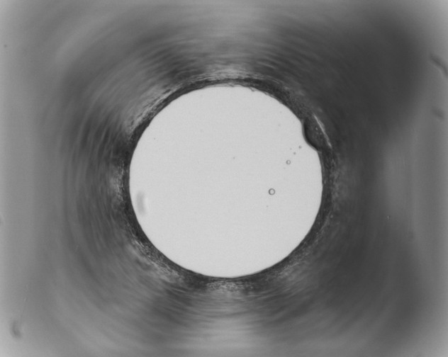 X0000103911217200810171657