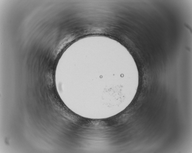 X0000103911218200810171657