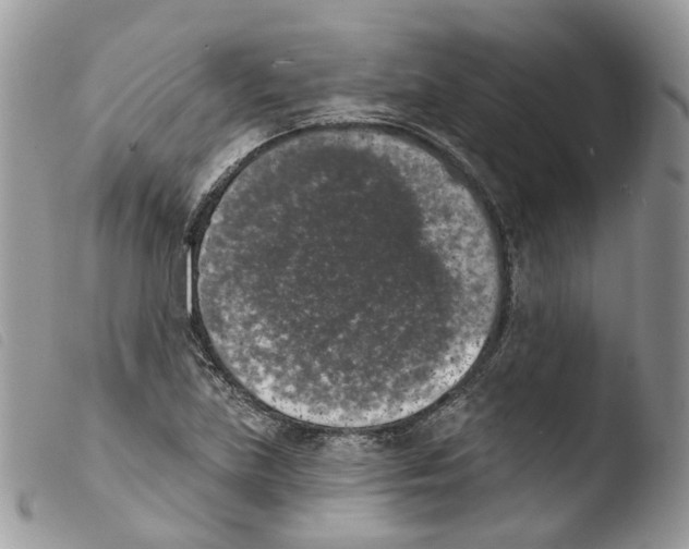 X0000103911219200810171657