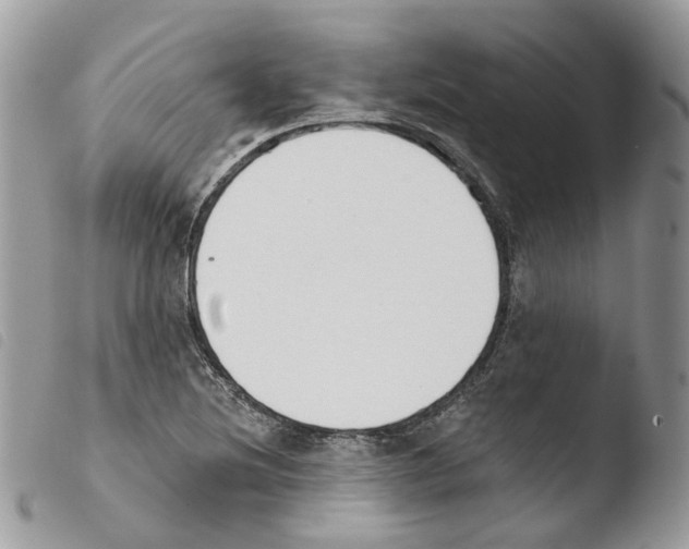 X0000103911220200810171657