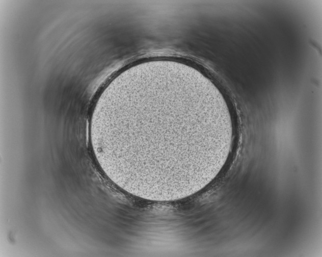 X0000103911221200810171657