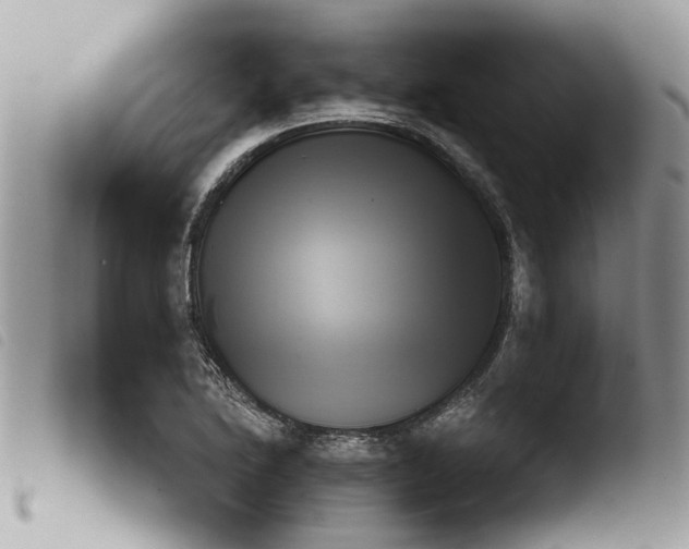 X0000103911222200810171657