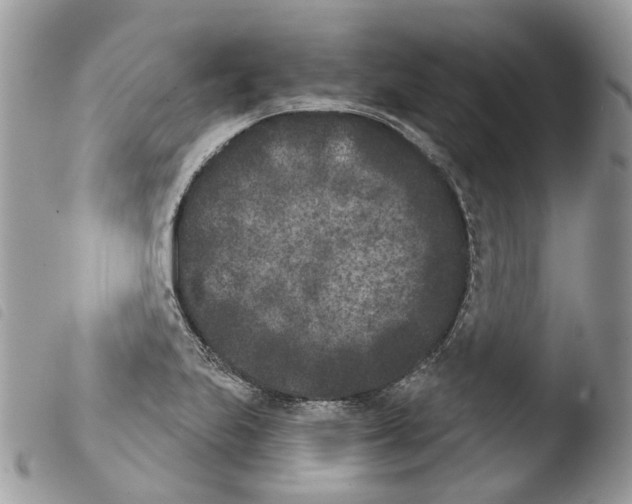 X0000103911223200810171657