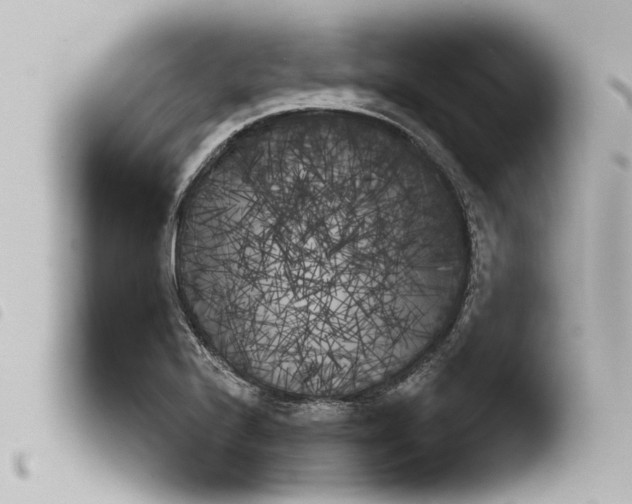X0000103911224200810171657