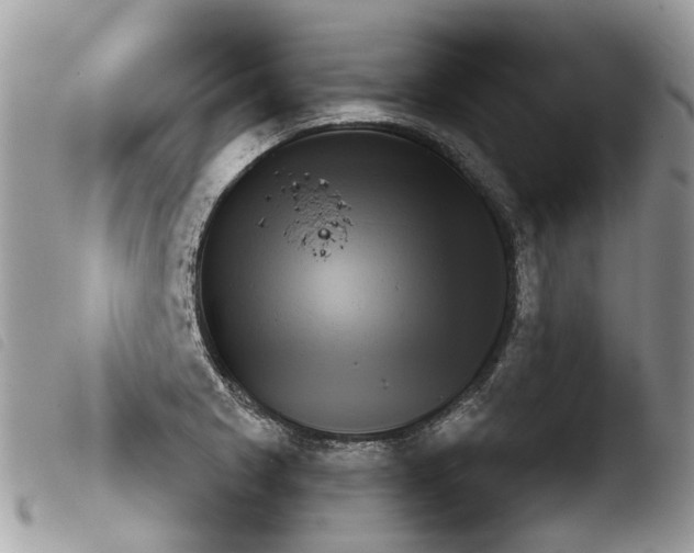X0000103911225200810171657