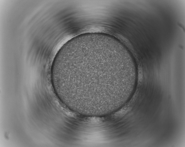 X0000103911226200810171657