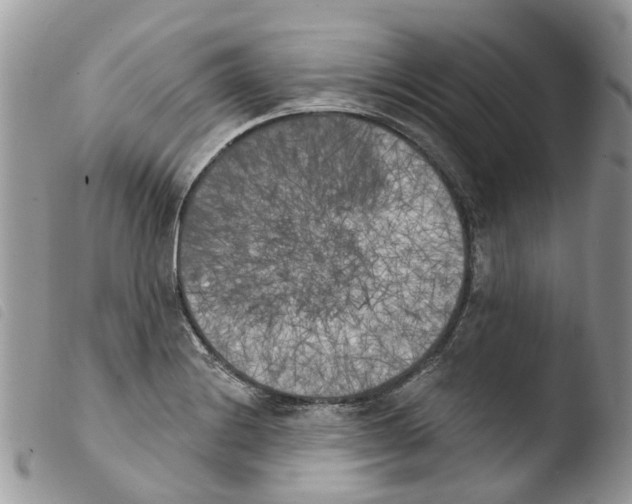 X0000103911228200810171658