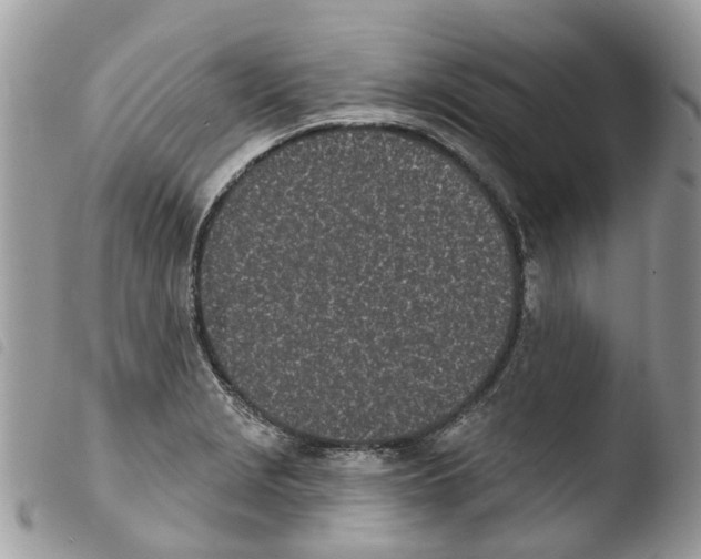 X0000103911229200810171658