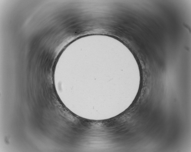 X0000103911230200810171658