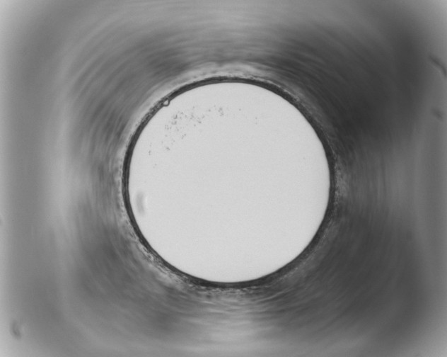X0000103911232200810171658