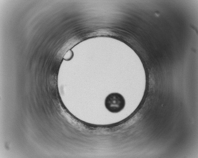 X0000103911233200810171658