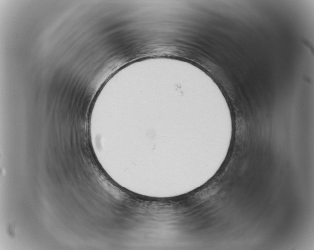 X0000103911234200810171658