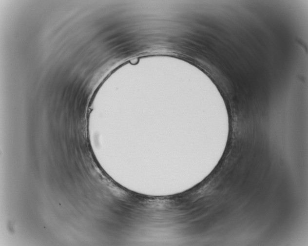 X0000103911236200810171658