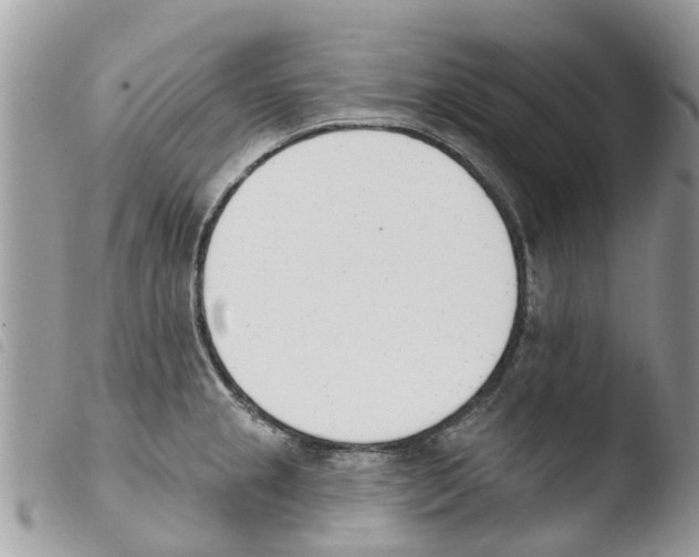 X0000103911237200810171658