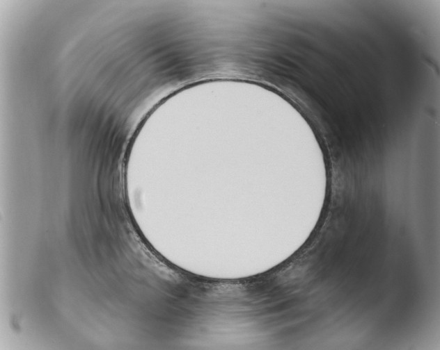 X0000103911238200810171658