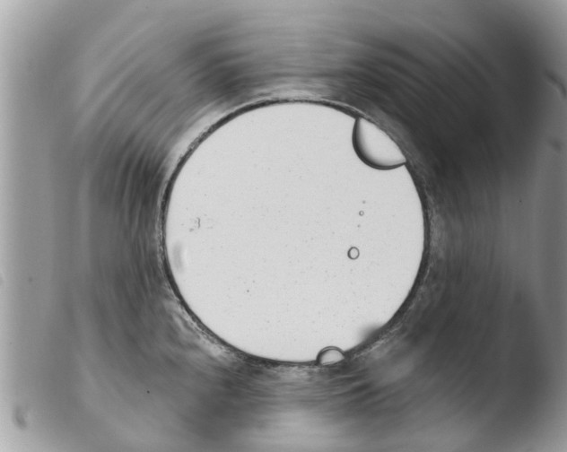 X0000103911240200810171658