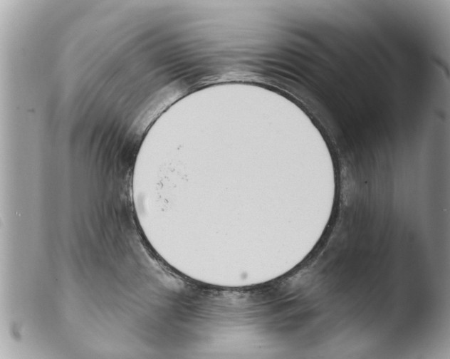 X0000103911241200810171658