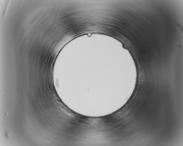 X0000103911242200810171658