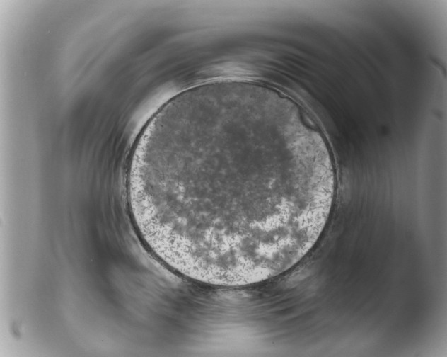 X0000103911243200810171658