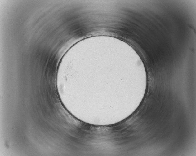 X0000103911244200810171658