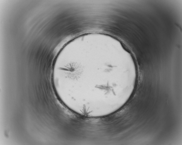 X0000103911245200810171658