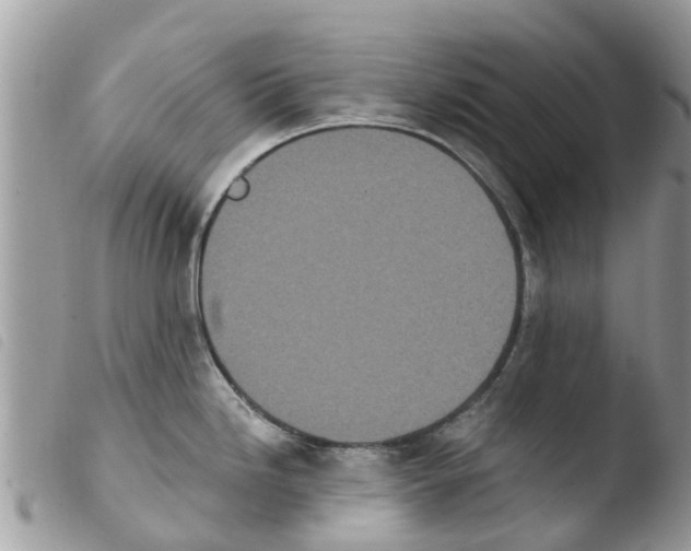 X0000103911246200810171658