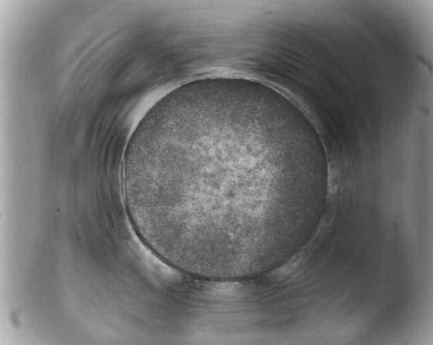 X0000103911247200810171658