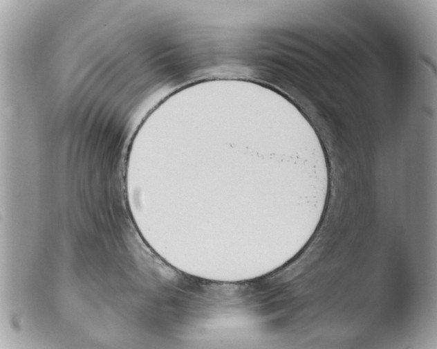 X0000103911248200810171658