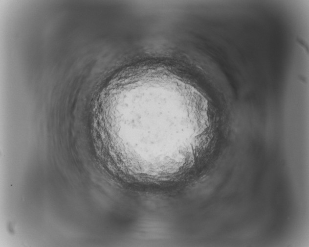 X0000103911249200810171657