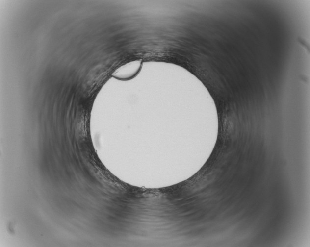 X0000103911250200810171657