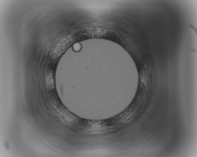 X0000103911252200810171657