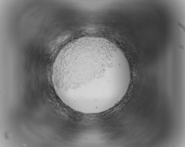 X0000103911253200810171657