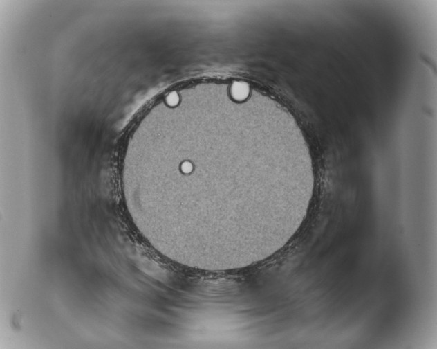 X0000103911256200810171657