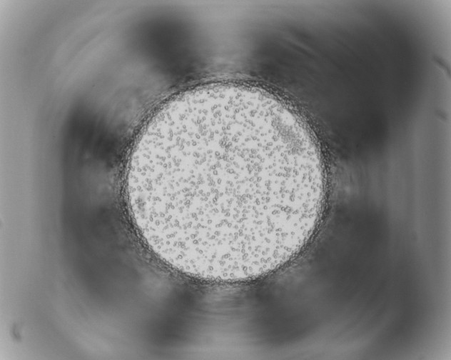 X0000103911257200810171657