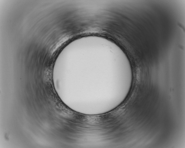 X0000103911258200810171657