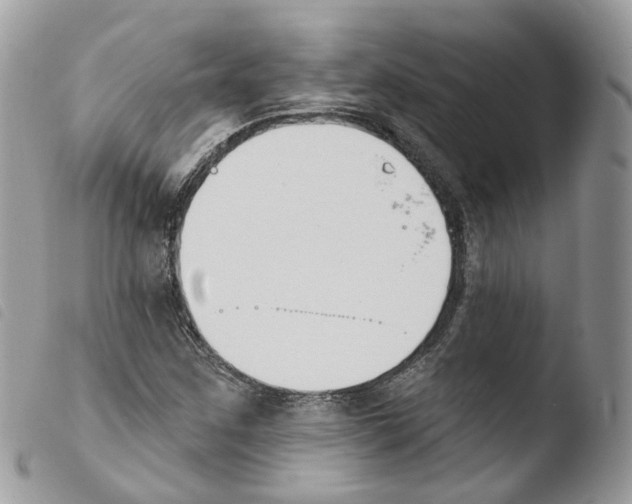 X0000103911259200810171657