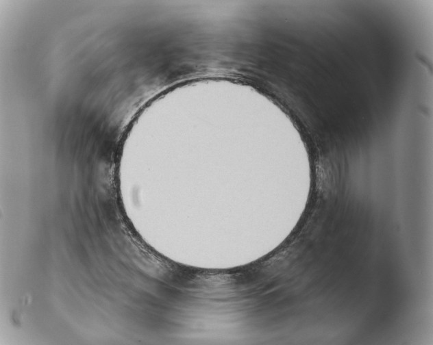 X0000103911260200810171657