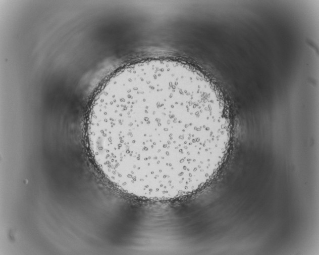 X0000103911261200810171657