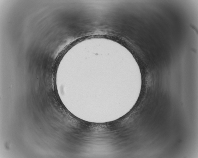 X0000103911262200810171657