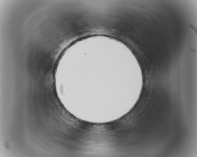 X0000103911264200810171657