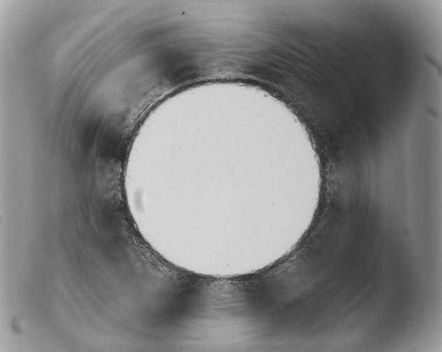 X0000103911265200810171657