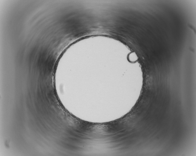 X0000103911268200810171657