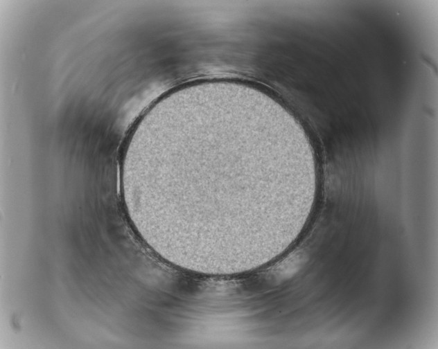 X0000103911269200810171657