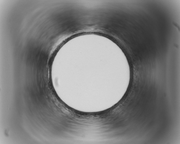 X0000103911270200810171657