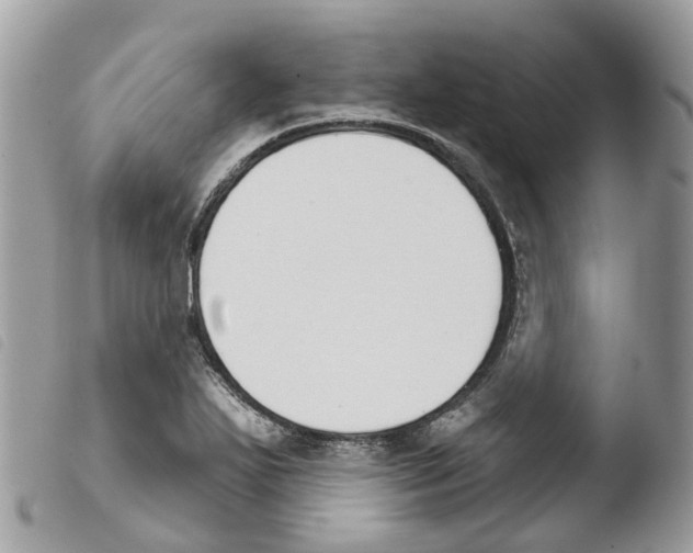 X0000103911271200810171657